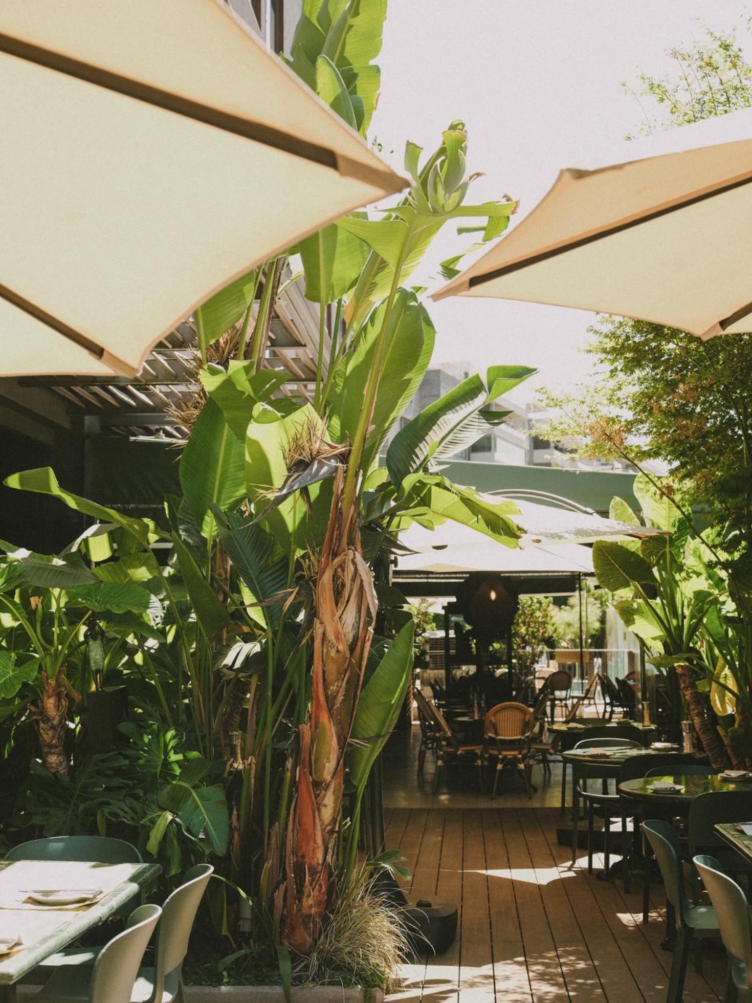 Hotel Eco Boutique Bidasoa Santiago Buitenkant foto